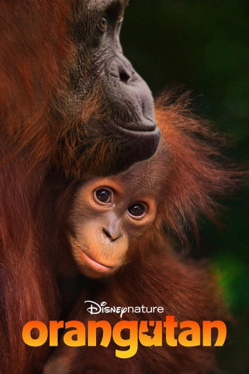 Jaquette de Orangutan