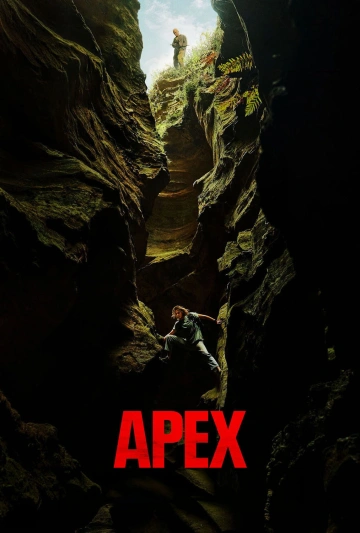 Jaquette de Apex