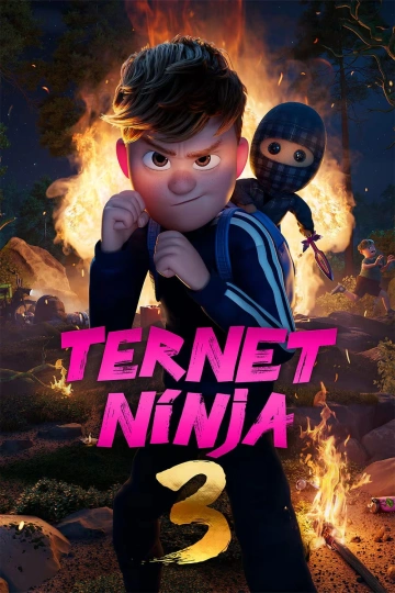 Jaquette de Ternet Ninja 3