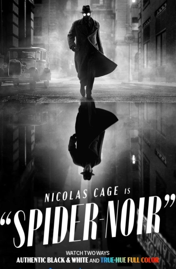 Jaquette de Spider Noir