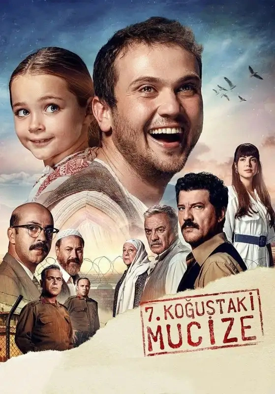 Jaquette de 7 KoÄŸuÅŸtaki Mucize VOST