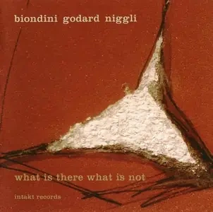 Jaquette de Luciano Biondini What Is There What Is Not 2011