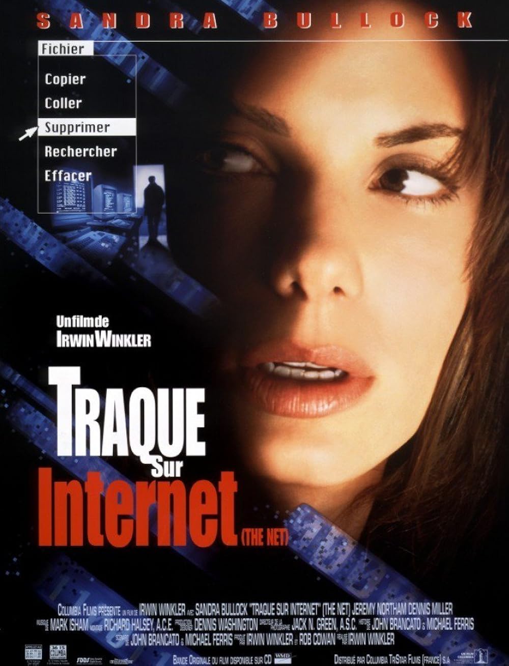 Jaquette de Traque Sur Internet The Net