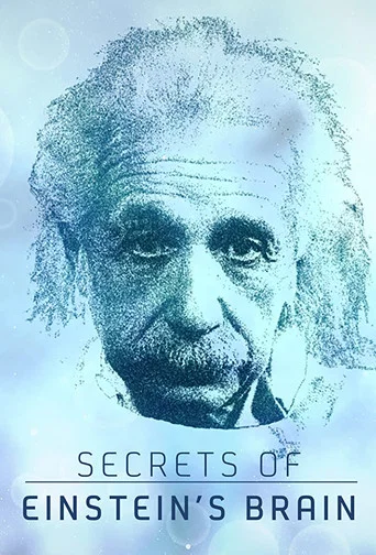 Jaquette de Les Secrets Du Cerveau DOC