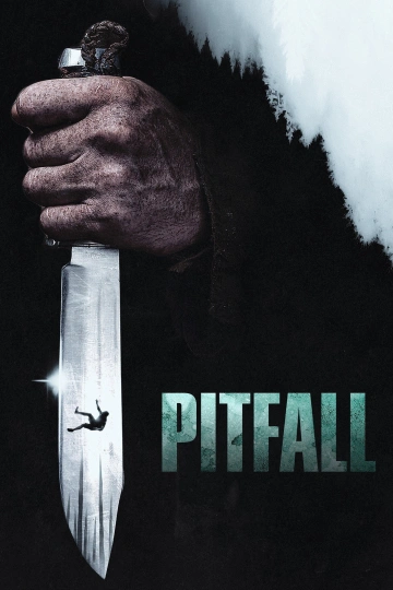 Jaquette de Pitfall
